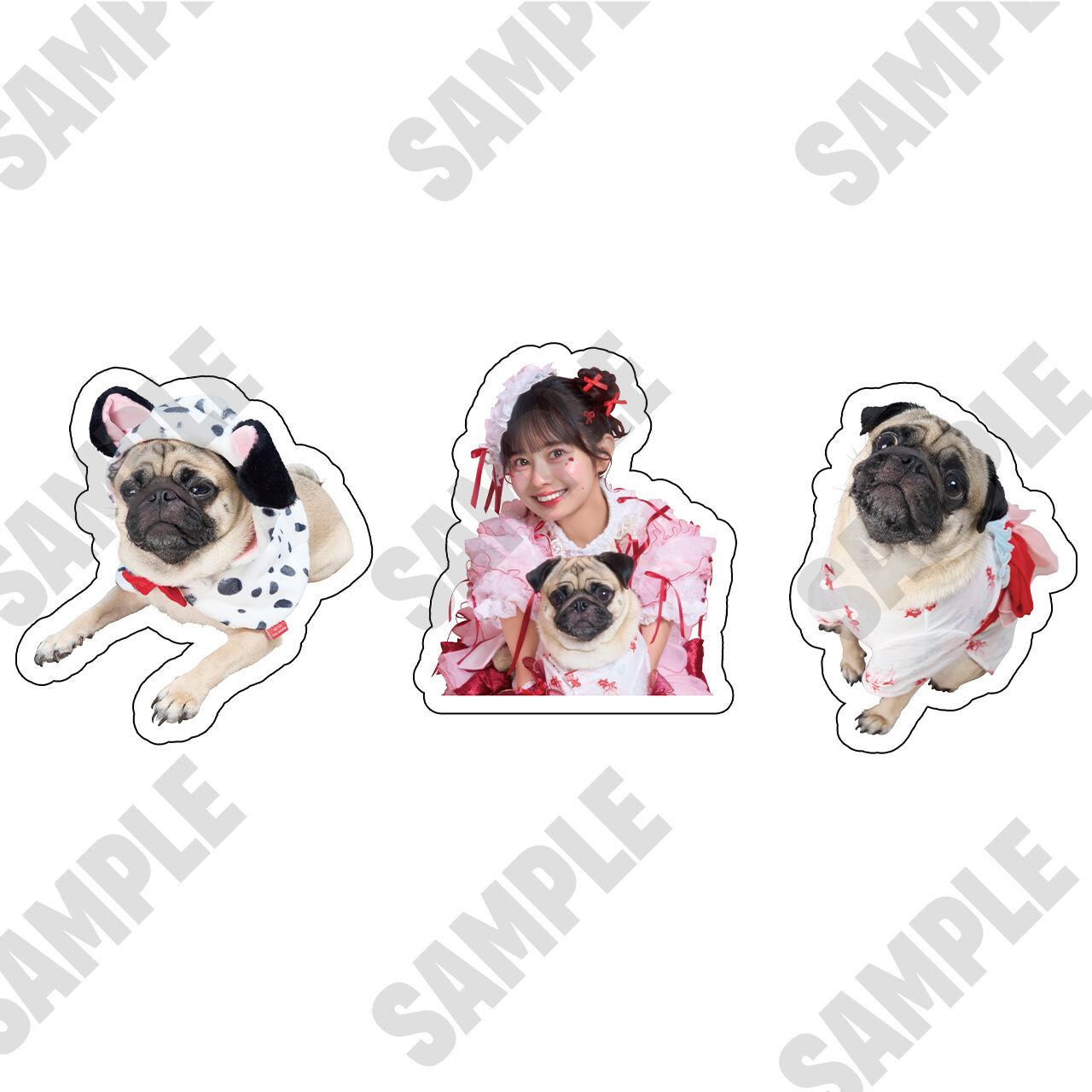 犬友になろうよ!アルくんステッカー3種セット